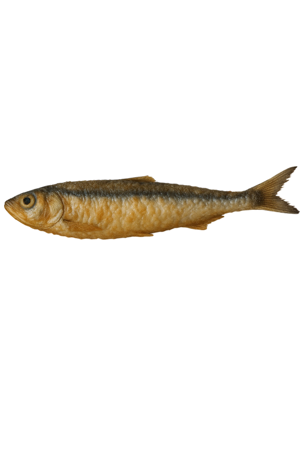 Boquerón frito